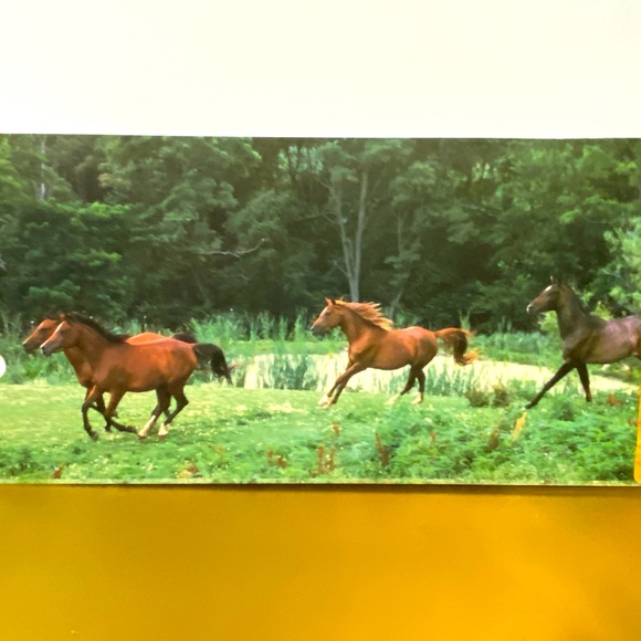 HORSES VINTAGE 90’s PORTFOLIO 3 RING BINDER FOLDERS BUNDLE OF 3 GREAT FOR SCHOOL - Picture 13 of 13